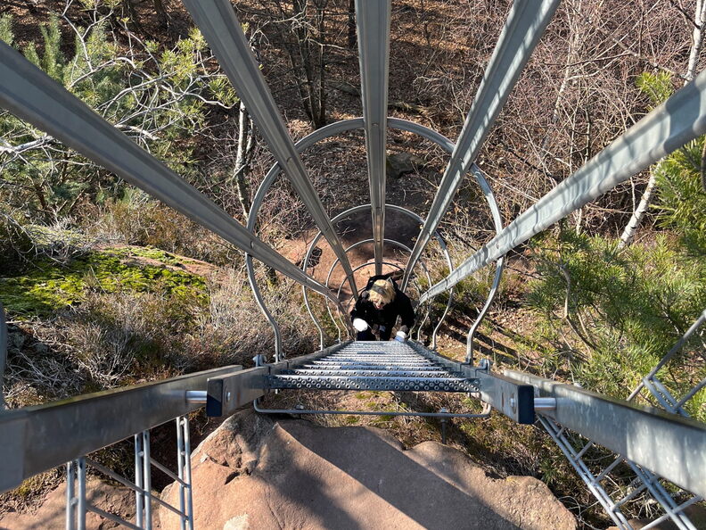 23-03-01 14-25-55 4533